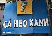 B Cá Heo Xanh Cửa Hàng