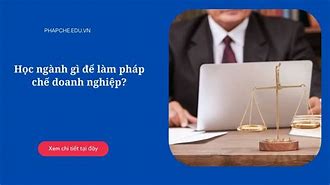 Điều Kiện Để Trở Thành Pháp Chế Doanh Nghiệp