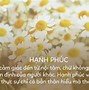 Hạnh Phúc Của Anh Là Được Nhìn Em Cười Tươi