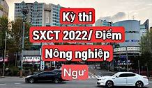 Kỳ Thi Xklđ Hàn Quốc 2022 Tại Hà Nội Mới Nhất Hôm Nay Là Bao Nhiêu