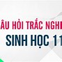 Tại Sao Nước Có Màu Xanh Lục